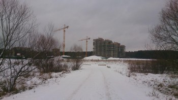 DSC_1673.jpg