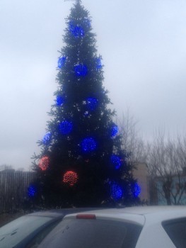 IMG_1042_1.jpg
