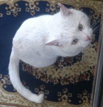 2013-02-24-498_1.jpg