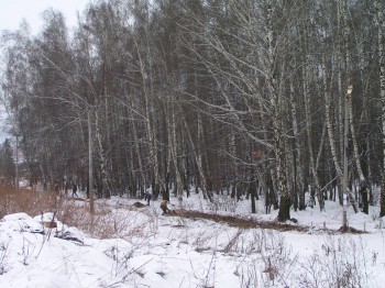 PC221864.JPG