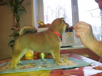 20140112_114025.jpg
