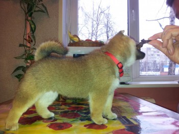 20140112_113806.jpg