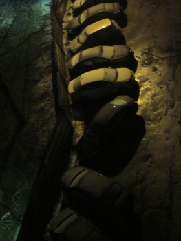 IMG_0005.JPG