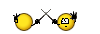 Duel duel:
